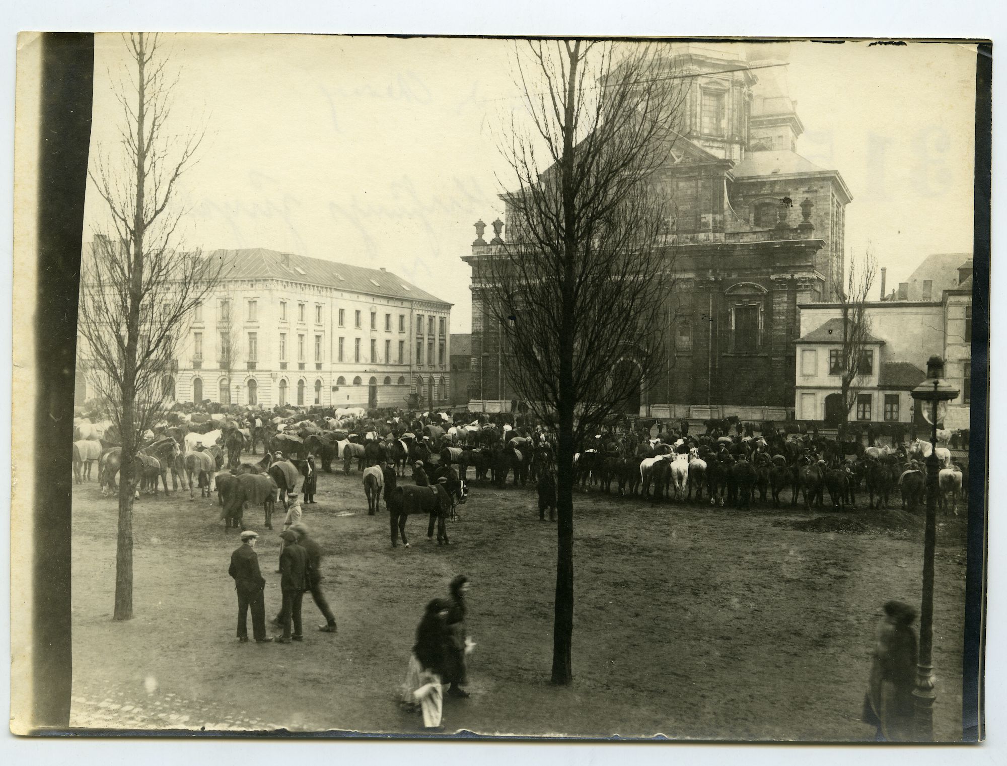 Gent: Sint-Pietersplein: Onze-Lieve-Vrouw Sint-Pieterskerk: paardenkeuring, 1915-1916