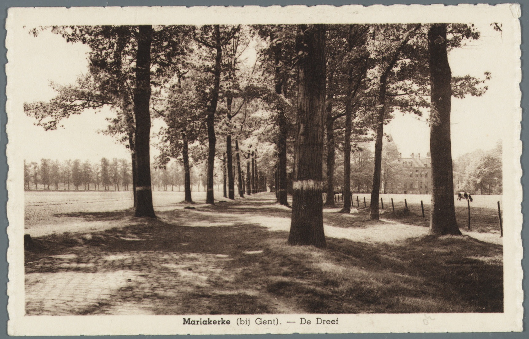 Mariakerke (bij Gent): de dreef naar kasteel Claeys-Bouüaert
