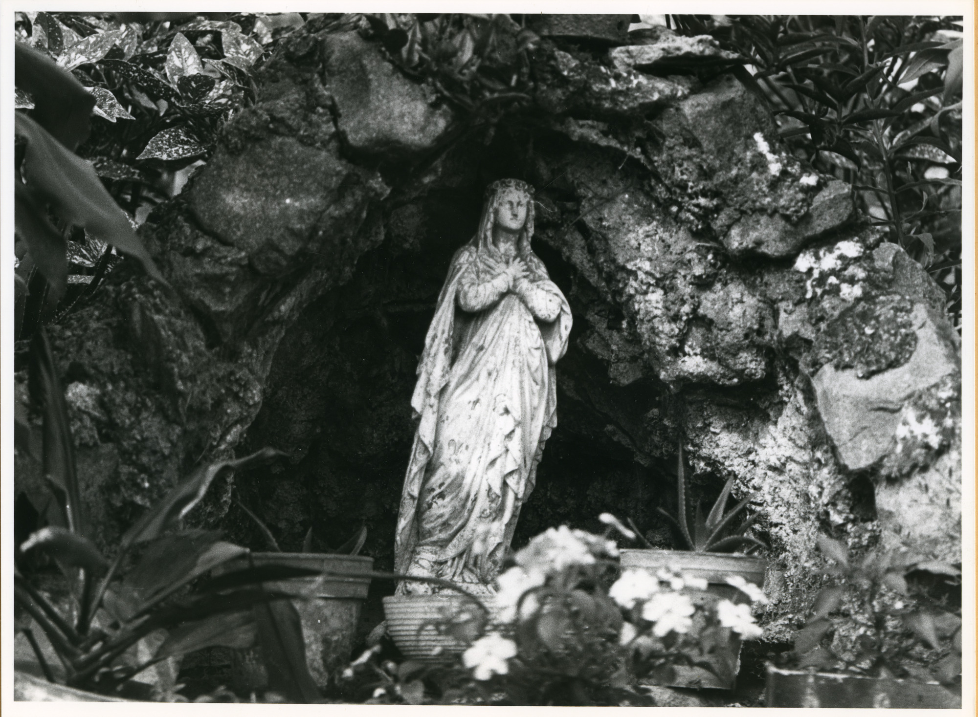 Drongen: Antoon Catriestraat 195: Beeld, 1979