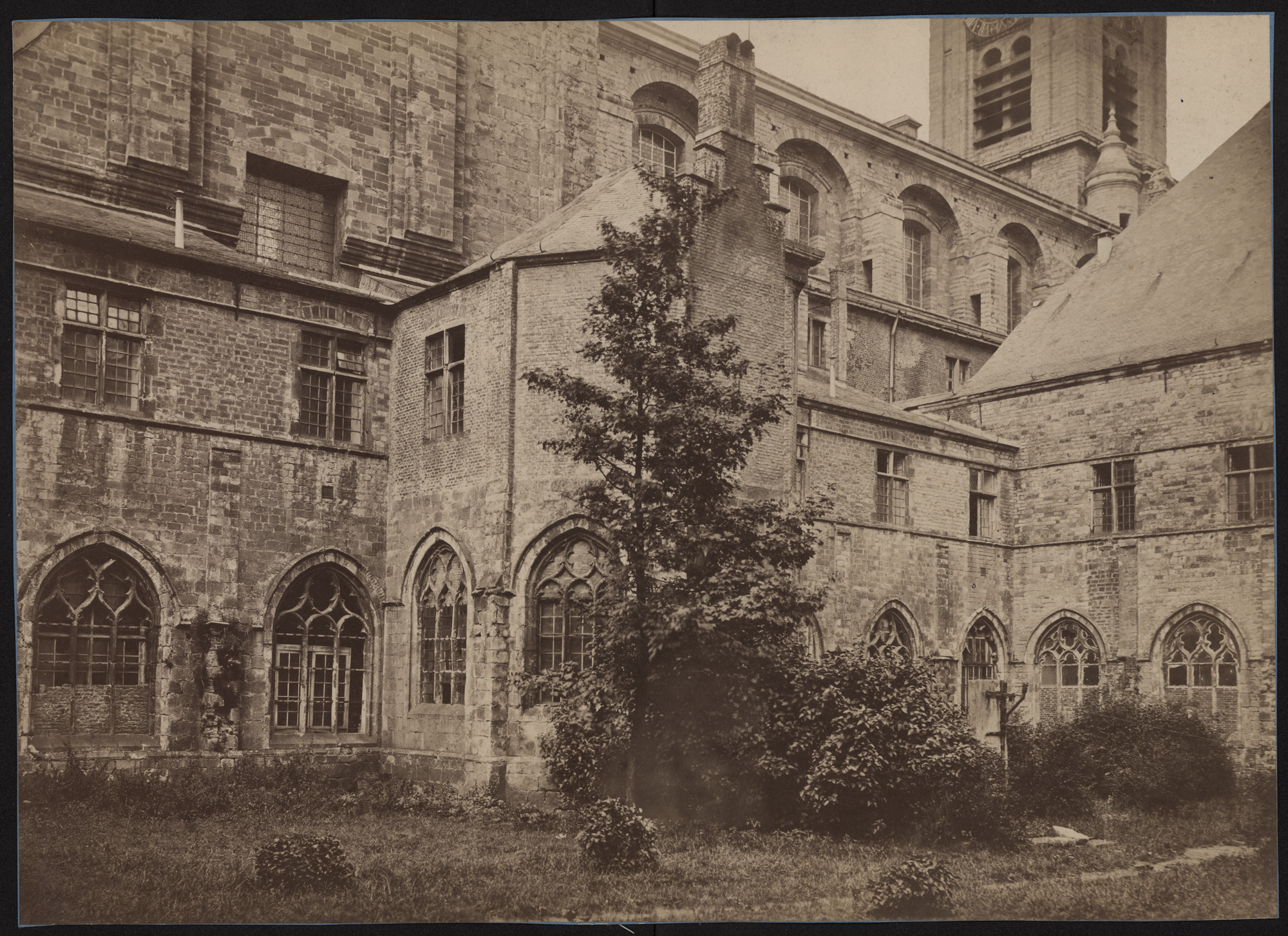 SCMS_FO_8658r.tif