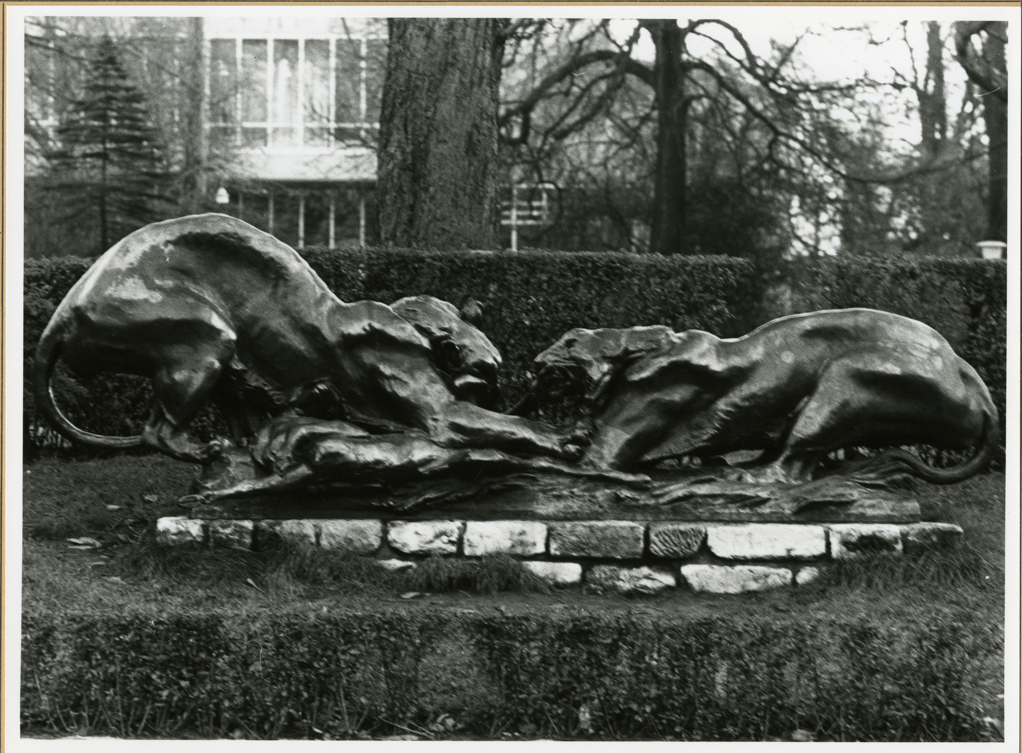 Gent: Citadelpark: beeldhouwwerk: Vechtende tijgers