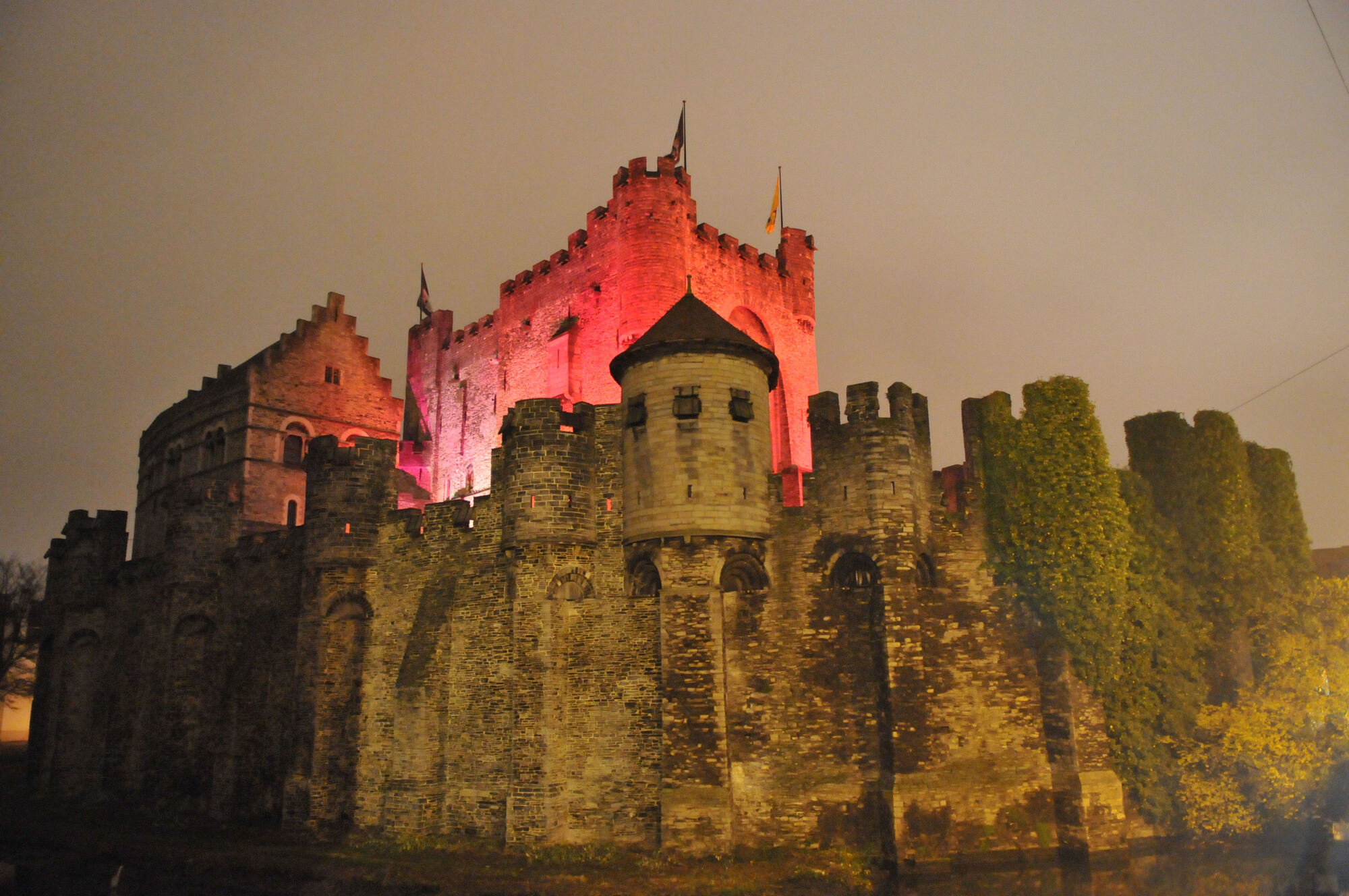 20081130_Gravensteen_magenta.jpg