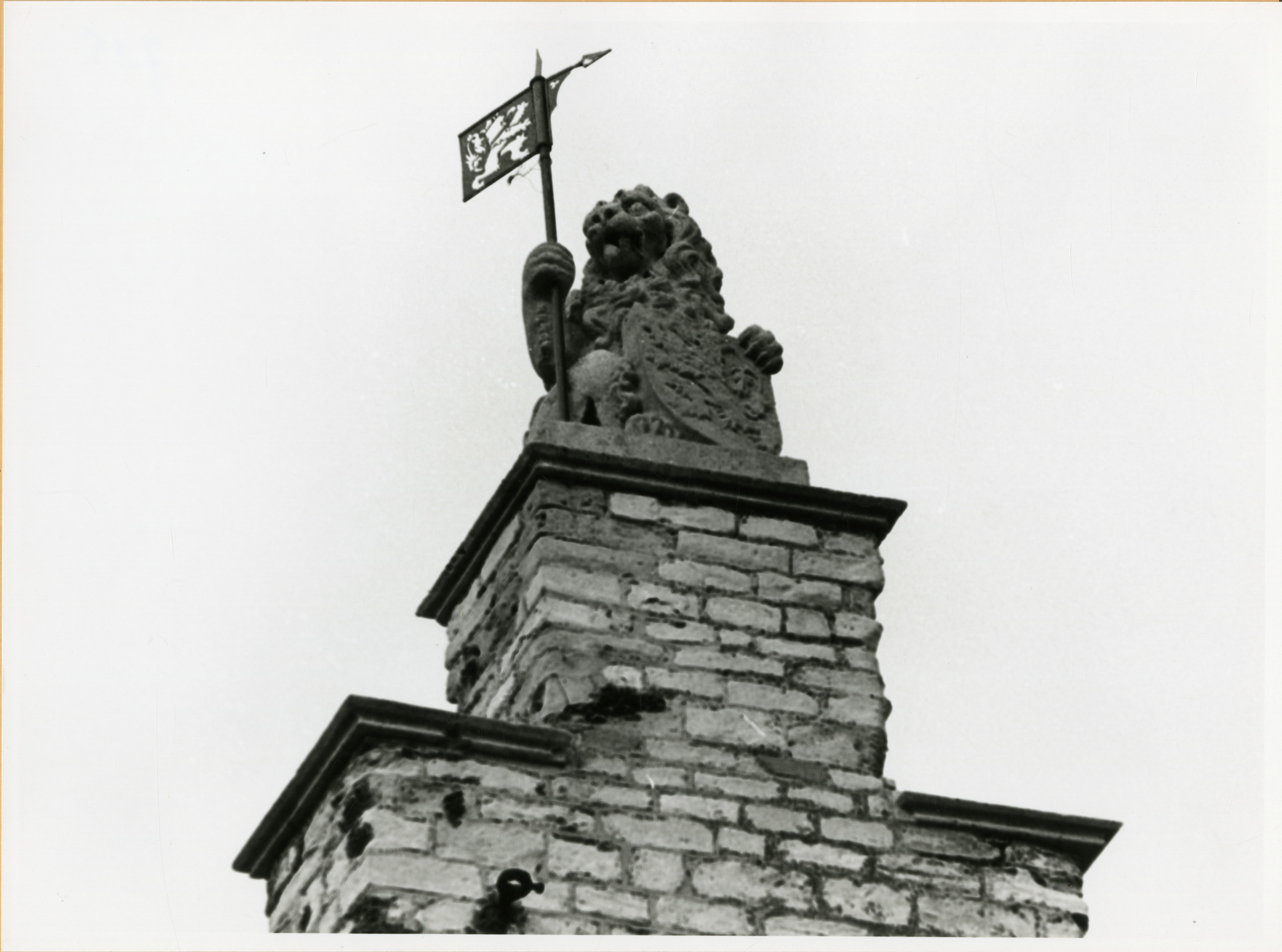 Gent: Groentenmarkt 7: Groot Vleeshuis: standbeeld: Leeuw van Vlaanderen