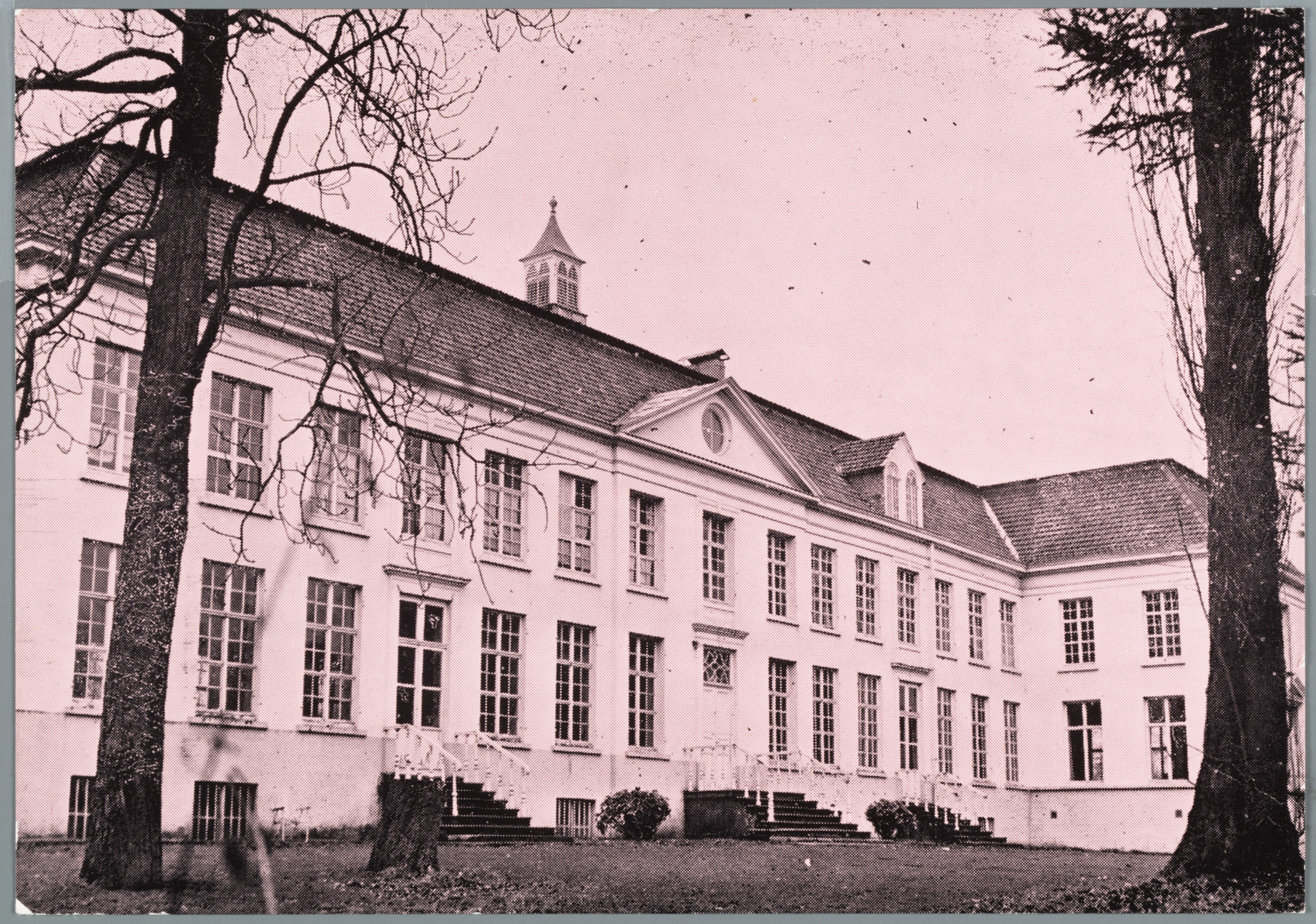 Drongen: Campagne